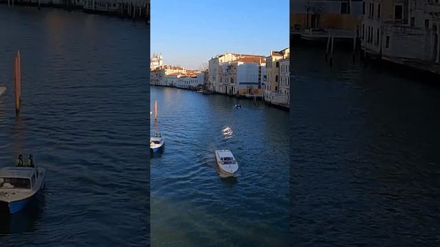 The Grand Canal in Venice #shorts