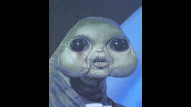 nutakoe - пуля дура (хаски cover) смотреть онлайн