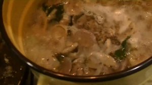 ФИОЛЕТОВАЯ рядовка, Дымчатая говорушка, как посолить вкусно.
