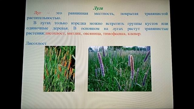 Природоведение 4 класс. Лесостепь (продолжение).