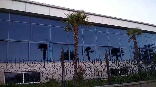 Пальмы#Крым#Отдых смотреть онлайн