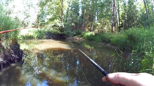 Пять водоёмов за утро... ну и где же щука?! смотреть онлайн