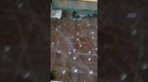 Как приклеить плитку на ламинированое ДСП, совет не профессионалов
