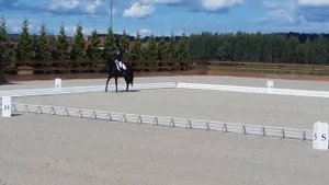 Кск Дивный, 74%, езда для лошадей 5 лет FEI