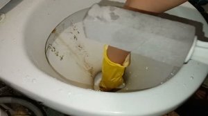Как отмыть ржавую полоску налета на унитазе? Пробую 5 средств. Какие из них реально работают?