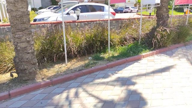Himeros Beach Hotel.  Сколько градусов в вине? Пустой пляж с белым песком в Кемере!