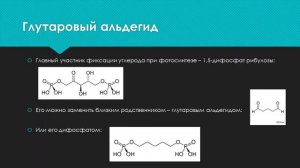 Про водоросли и глутаровый альдегид