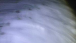Подводная охота на Рязанской ГРЭСС. Новомичуринск.Амуры судаки на русле.