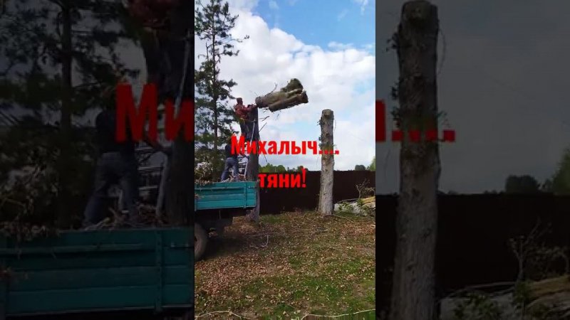 20 января 2022 г.