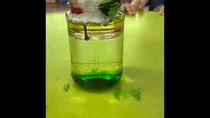 Опыт с водой и подсолнечным маслом.