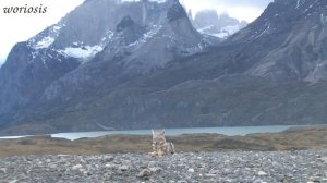 Torres del Paine National Park / Торрес-дель-Пайне