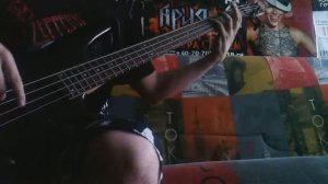 Король и Шут - Два монаха в одну ночь (Bass cover)