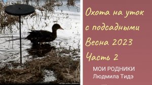 Охота на уток c подсадными ВЕСНА Часть 2 Смотрите видео, узнайте, когда приходит удача охотника.