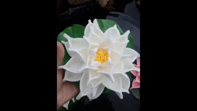 Обзор. Лилии для пруда на даче.(из Изолона) смотреть онлайн