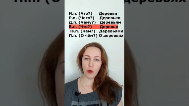 Одушевлённые и неодушевлённые существительные