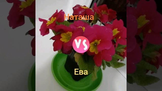 Есть ли тут твоё имя? 2 часть. смотреть онлайн