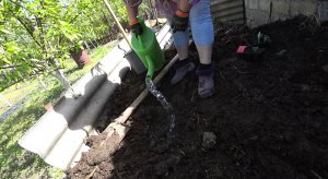 ТЫКВЫ НА КУЧЕ? ЖАБА В КАМУФЛЯЖЕ? ВИОЛКИ В ПОЛНОЙ КРАСЕ???