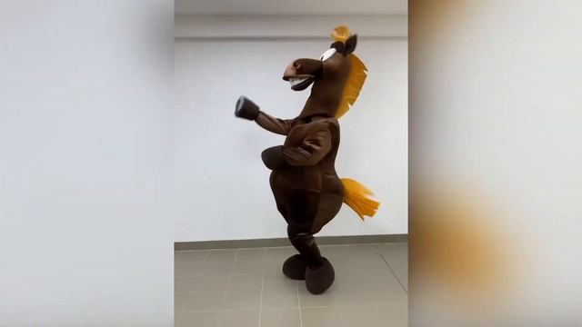 Видеообзор ростовых кукол и сценических костюмов ООО «Одис»
