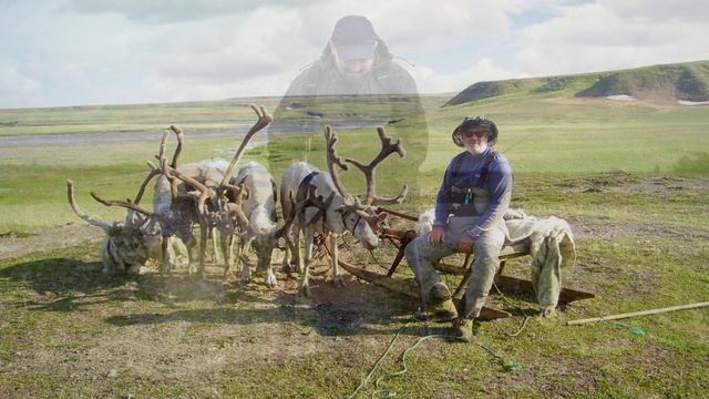 ЛНК_Новогодняя видео открытка