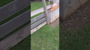 чистим кирпич от грязи и ростворов