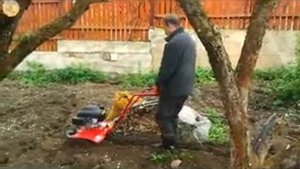 MTD 245.wmv