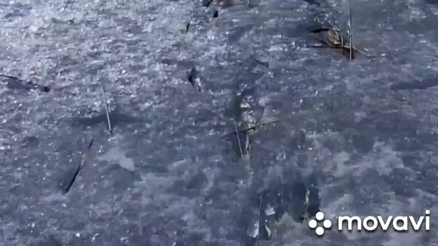 Рыбалка на озере Аксуат.Перезагрузка. смотреть онлайн