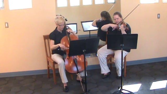 Bach-Gounod Ave Maria for Violin and Cello Duet смотреть онлайн