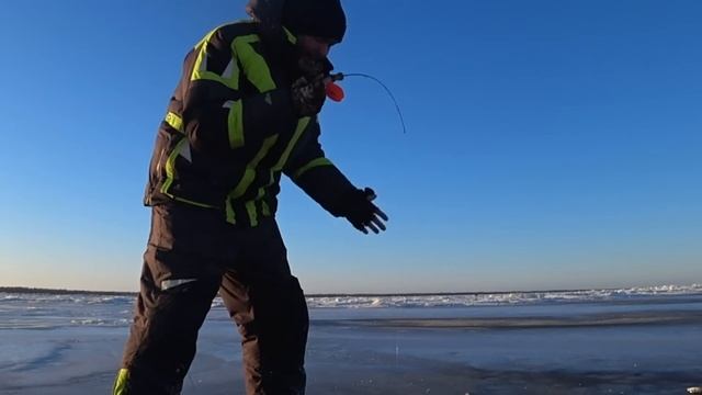 "Трехгранка" с окуневым глазом сделала всю рыбалку?? [ловля окуня зимой] смотреть онлайн