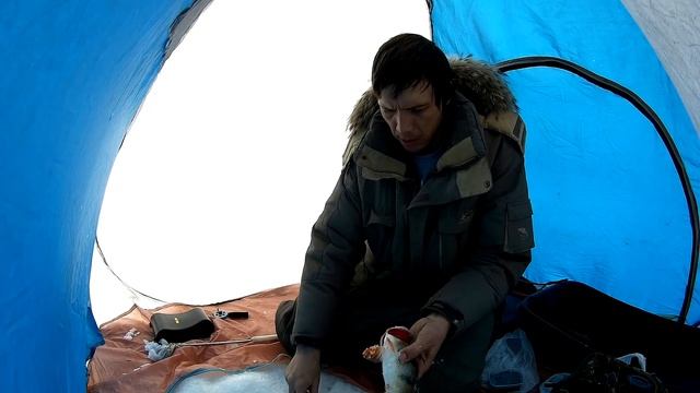 ЧУДО ЛУНКА! ??? Зимняя рыбалка 2018 на ОВХ. Ловля окуня на чертика. смотреть онлайн