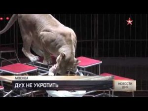 ТК Звезда: Виталий Смолянец на ИДОЛ-2016