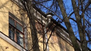 Ремонт в "Сталинском доме" // часть 1