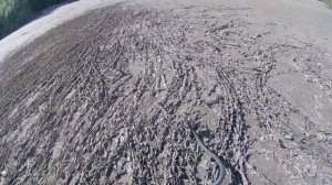 Жесть. Змея охотится на лягушку