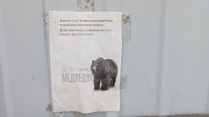 База отдыха "Антариус", Паратунка, Камчатка.