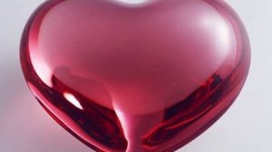 ahiska mubaryak sirin zabitov 2013