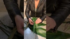 Aspidistra - What It Is & How To Use It
