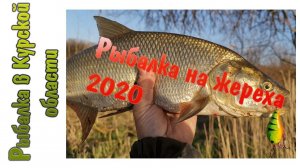 Рыбалка на жереха 2020. Первый трофей на TsuYoki Macho