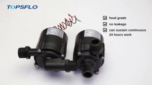 Бесщеточный центробежный водяной насос Topsflo micro DC 12 В 24 В