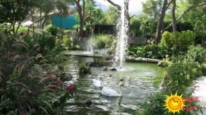Отзывы отдыхающих об отеле Mirada del Mar 5*  Кемер  (ТУРЦИЯ)