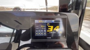 Merry Fisher 795 Marlin — Virtual Sea Trial