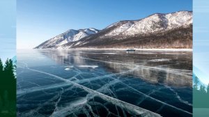 Визитная карточка, Максимова ГД., воспитатель