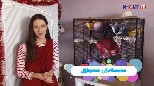 Крысы | Хвостатые истории смотреть онлайн