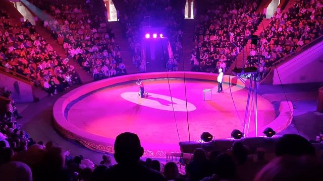 Цирк братьев Гертнер в Бишкеке. Клоуны Антон и Виктор Франке смотреть онлайн