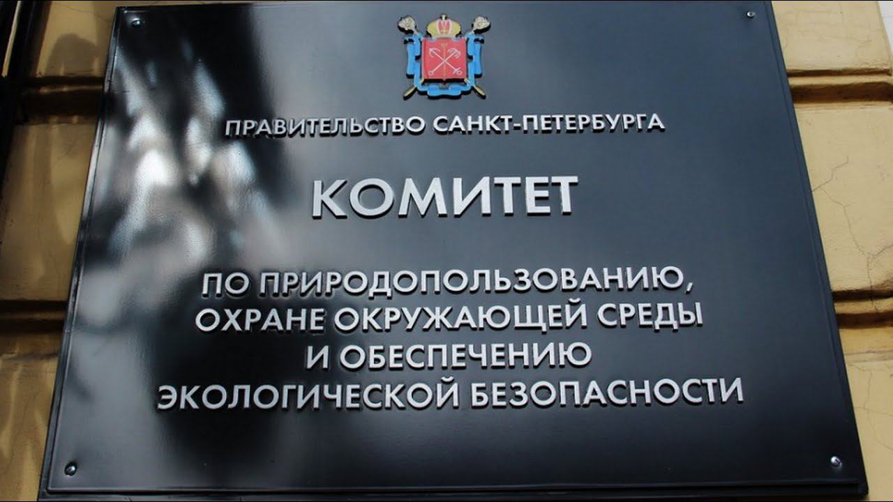 Заседание Рабочей группы при Экологическом совете при Губернаторе Санкт-Петербурга по экомониторингу