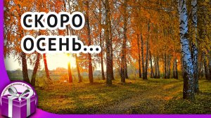 Скоро осень, за окнами август. Красивые грустные песни о любви