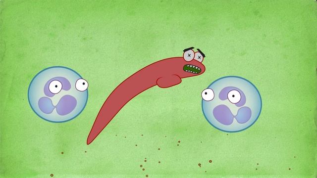 Histamine: The Stuff Allergies are Made of смотреть онлайн