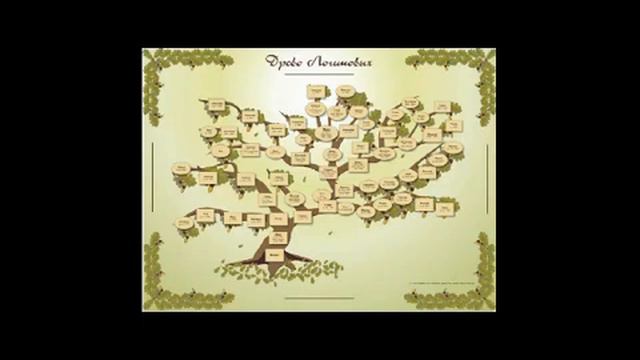 происхождение фамилии.avi