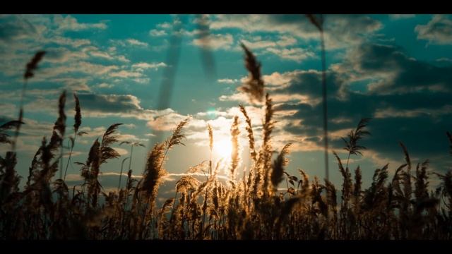 СТАНЬ КРАСИВОЙ! / АФФИРМАЦИИ НА КРАСОТУ И МОЛОДОСТЬ / ГИПНОЗ НА КРАСОТУ И ЗДОРОВЬЕ