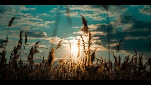 СТАНЬ КРАСИВОЙ! / АФФИРМАЦИИ НА КРАСОТУ И МОЛОДОСТЬ / ГИПНОЗ НА КРАСОТУ И ЗДОРОВЬЕ