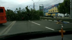 Ураган Нижний Новгород упало дерево на машину Московское шоссе