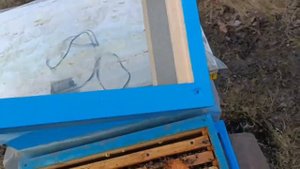 Весна 2023. Шестирамочники.